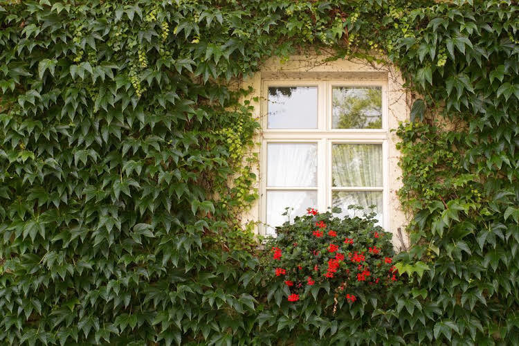 Up Hus Hotel Neuruppin — hotel in Neuruppin