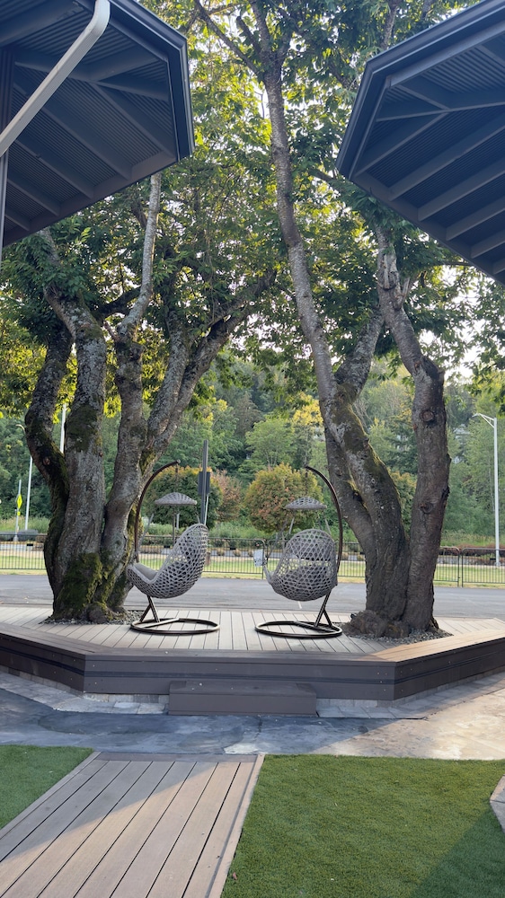 Sunrise Garden Suites - photo 21