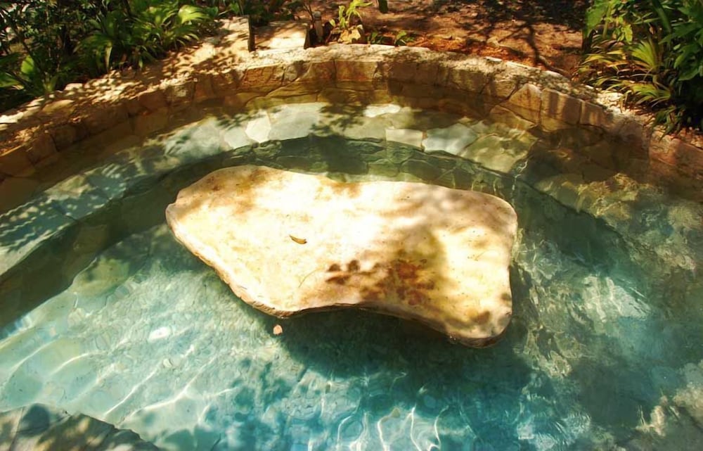 Natural pool