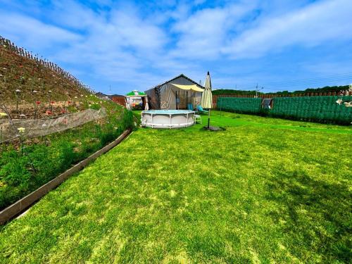 Dangjin Dogpelis Glamping in Tangjin, South Korea