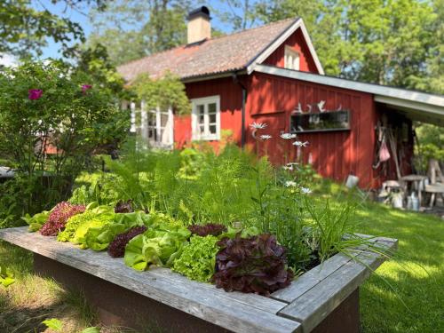 Hus Solgården — Mariestad — photo 5