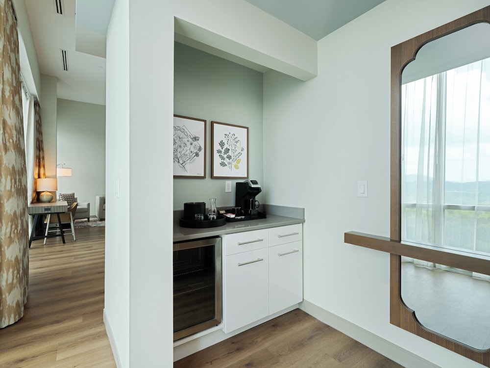 Hotel Indigo Asheville Downtown by IHG - photo 44