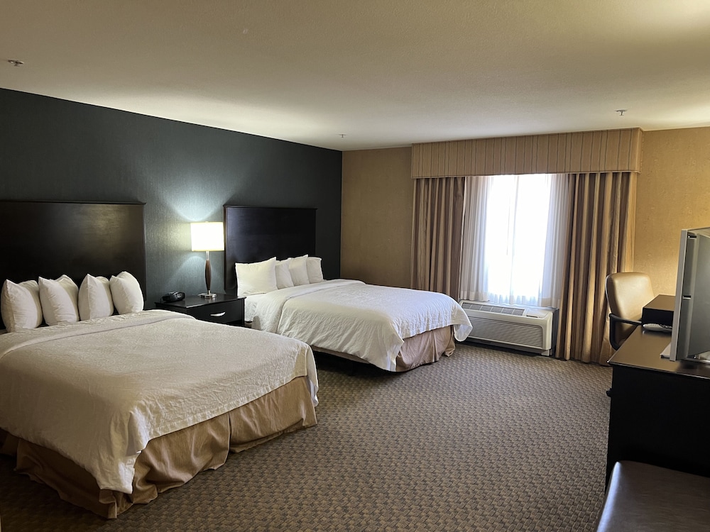 Hampton Inn & Suites Barstow - photo 13