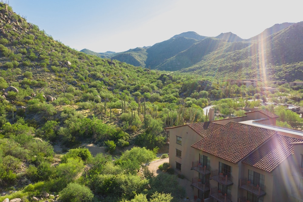 The Ritz Carlton Dove Mountain - photo 118