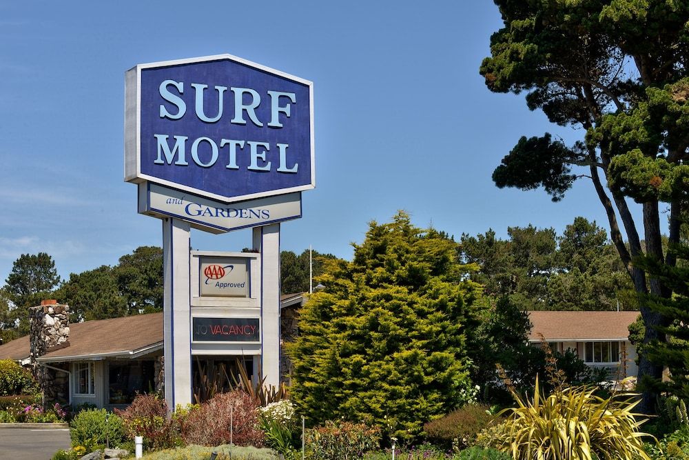 Surf Motel and Gardens - photo 2