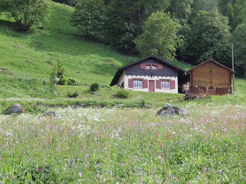 Gentil Nid — Basse-Nendaz — photo 3