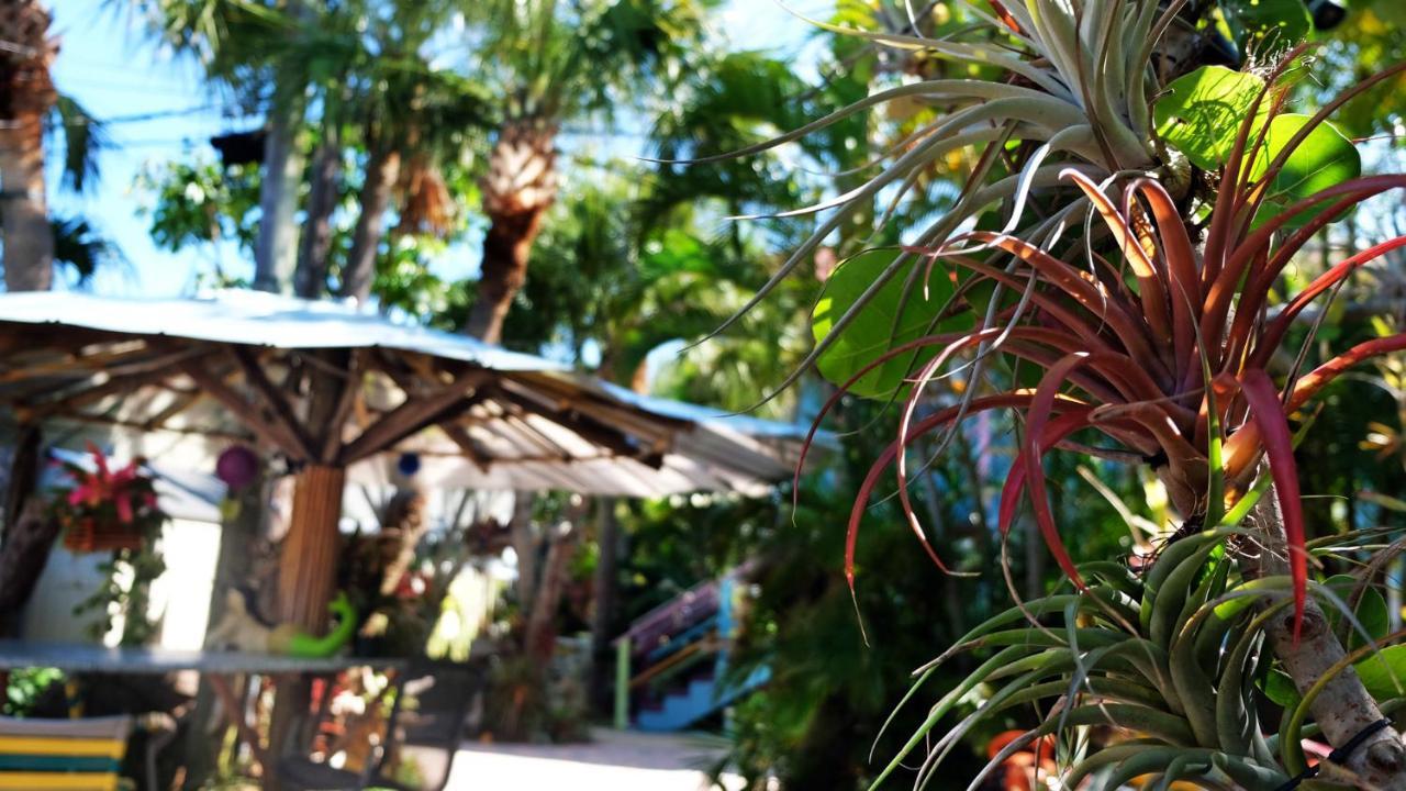 Beachpoint Resort Cottages - photo 42