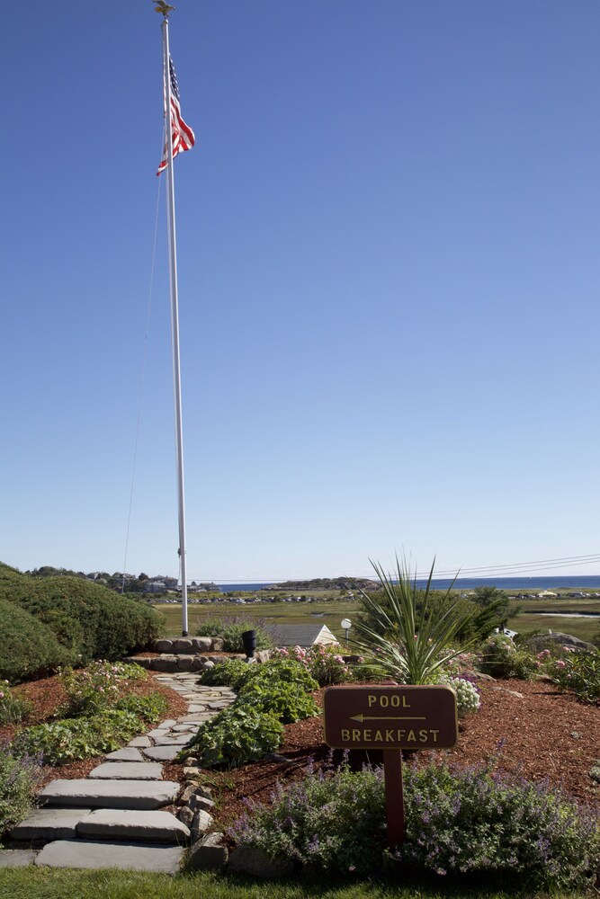 The Vista - photo 15