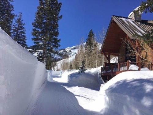 Twin Peaks Lodge — 4-Star Luxury Hotel in Brighton, United States