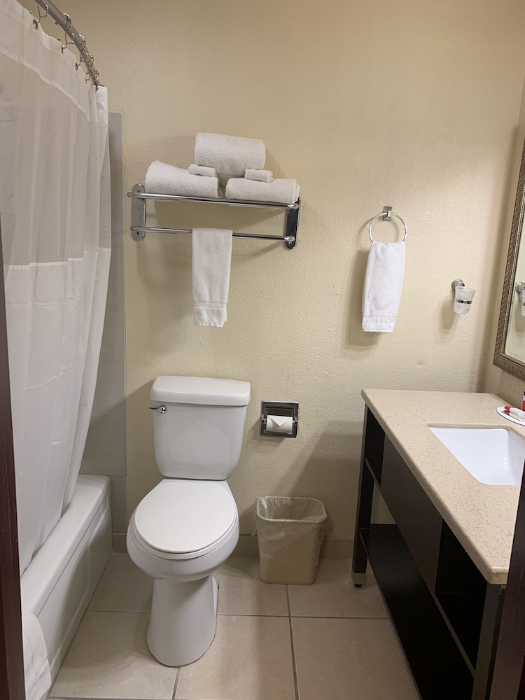 Sutton Suites Hotel - photo 11