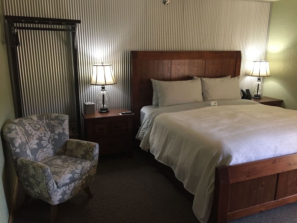 Roam Inn - photo 21