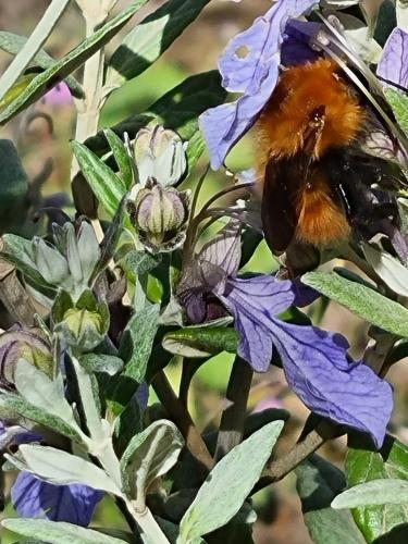 Dimora Nel Chianti in Castelnuovo Berardenga, Italy