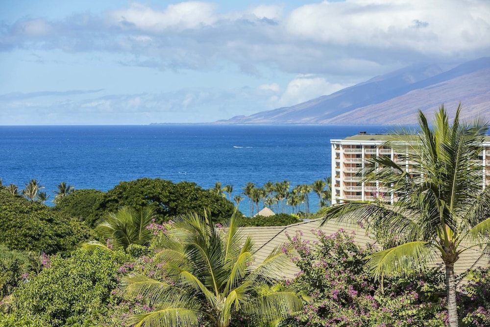 Ho'olei Ocean View by Coldwell Banker Island Vacations - photo 261