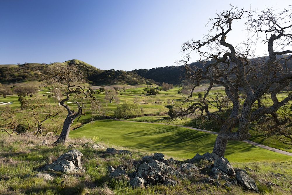 Rosewood Cordevalle - photo 35
