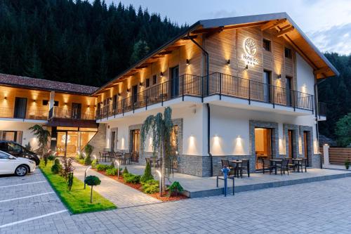 Hotel Ina in Borsa, Romania