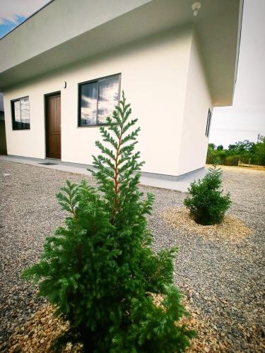 Recanto Tzelikis Praia da Pinheira in Palhoca, Brasil