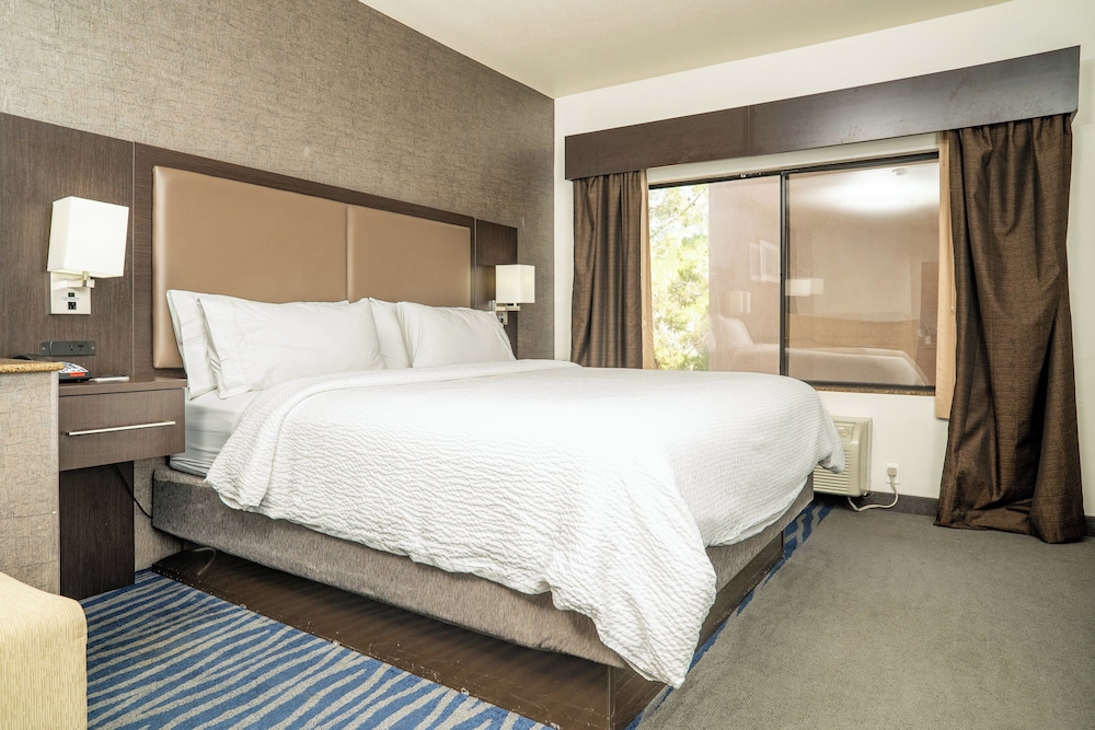 Holiday Inn Express & Suites Barstow Route 66 by IHG - photo 29