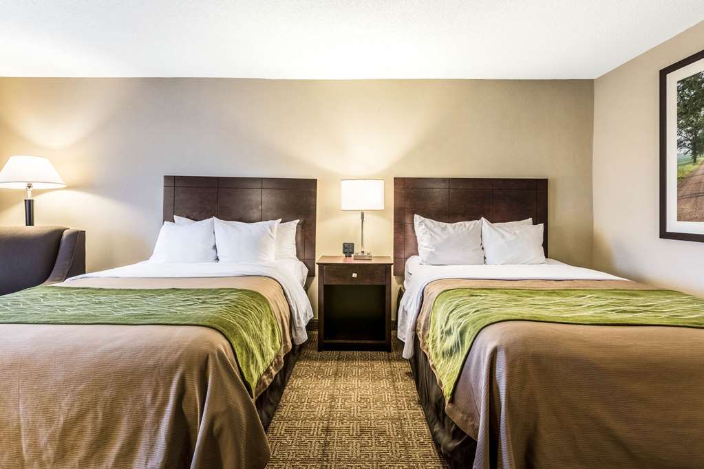 Comfort Inn Lansing West - photo 16