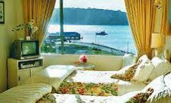 Homestay at Evans Bay