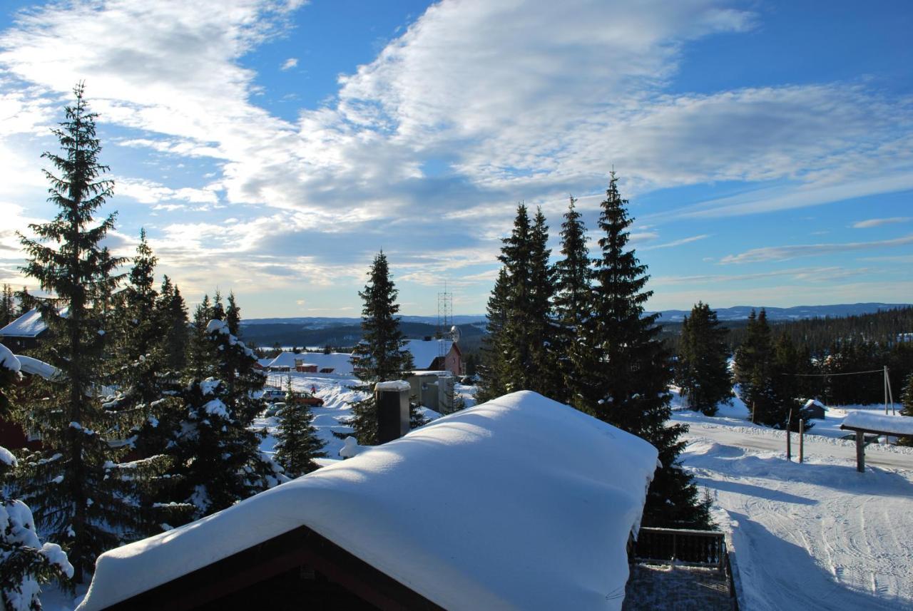 Nordseter Fjellpark Sentrum — Lillehammer — photo 2
