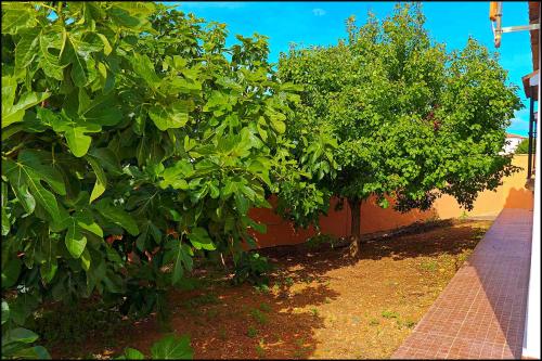 Chalet rústico Roche — 4-Star Luxury Hotel in Conil De La Frontera, Spain