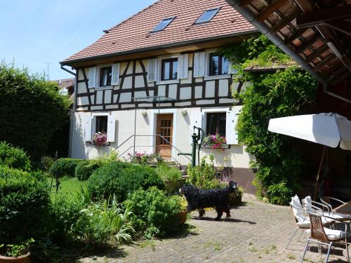 Chat au Grumbach - carbon neutral hotel in Colmar