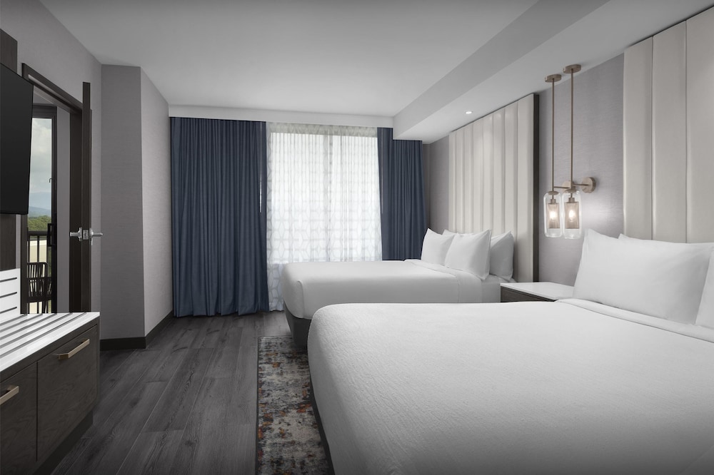 Embassy Suites by Hilton Pigeon Forge Resort - photo 8
