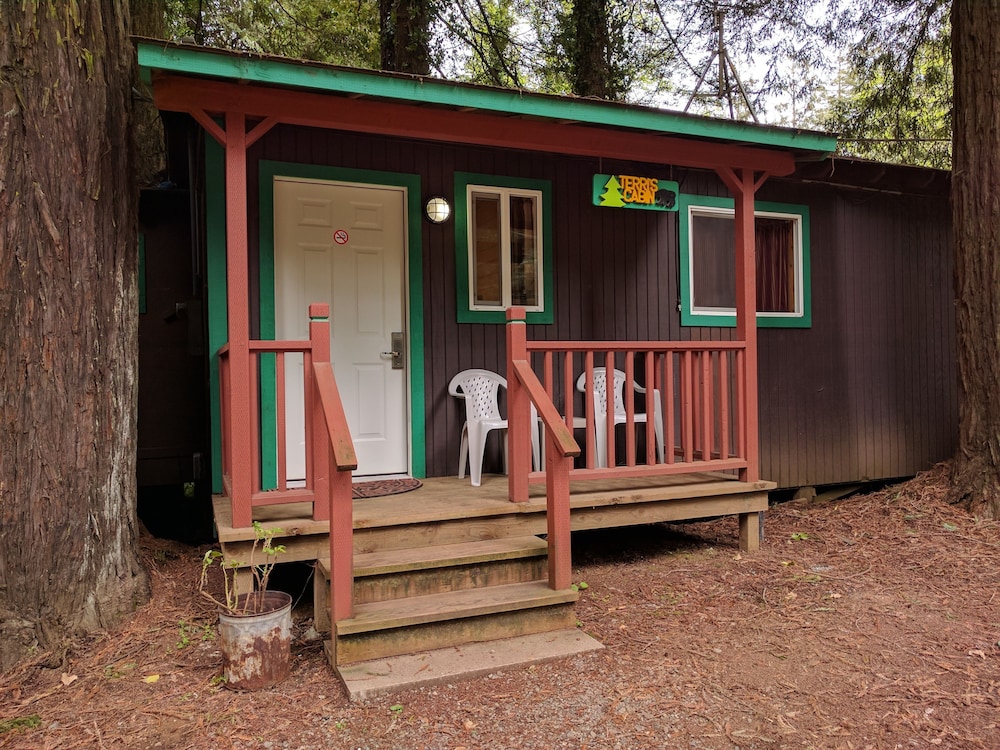 Emerald Forest Cabins - photo 147