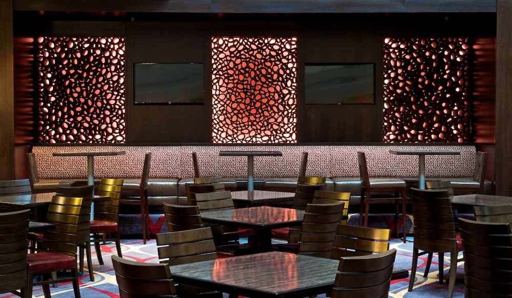 Embassy Suites by Hilton Dulles Airport - photo 35