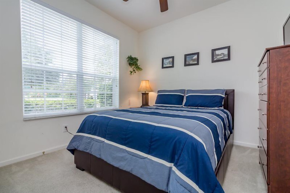 Windsor_palms_2323n - photo 7