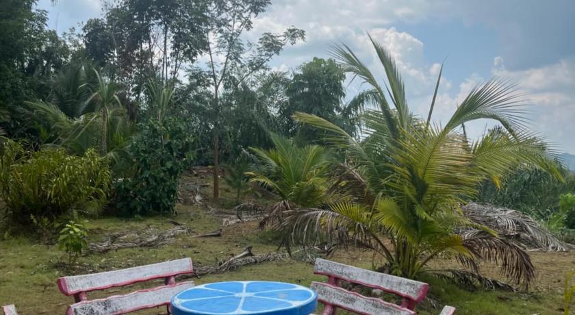 Seven in — Krabi — photo 4