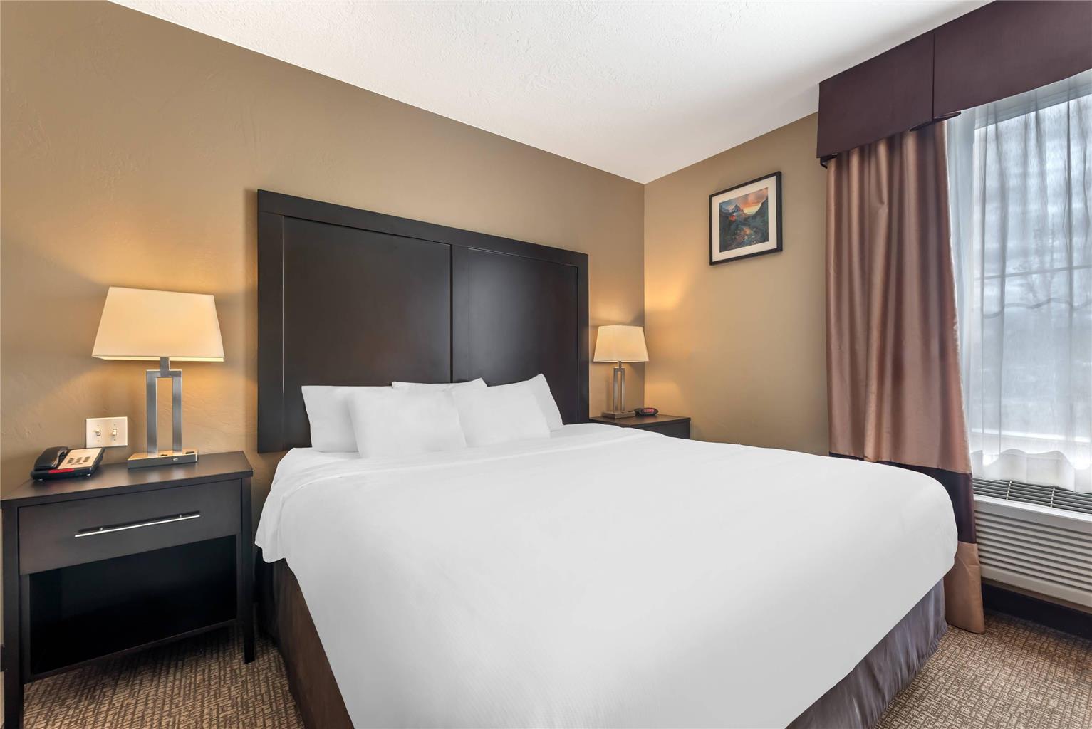 Comfort Inn & Suites Vernal National Monument Area - photo 56