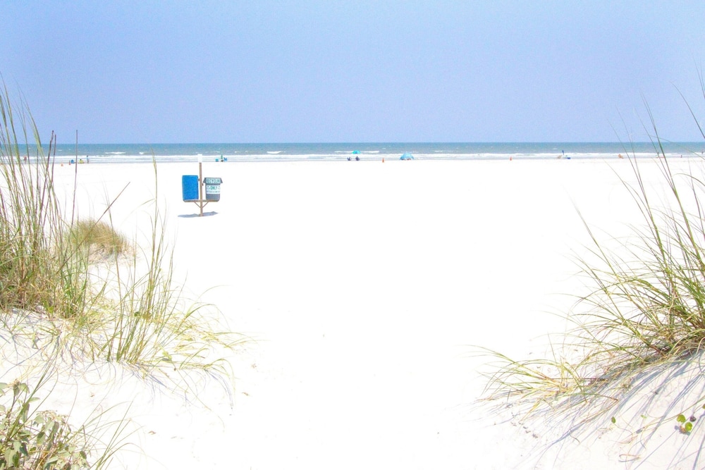 Sand Dollar I 504 - photo 39