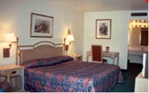 Bayfront Inn Corpus Christi - photo 19