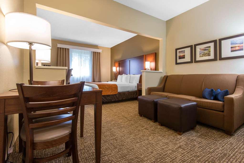 Comfort Suites Rochester Henrietta University Area - photo 9