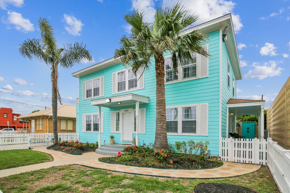 The Turquoise Turtle - featured photo