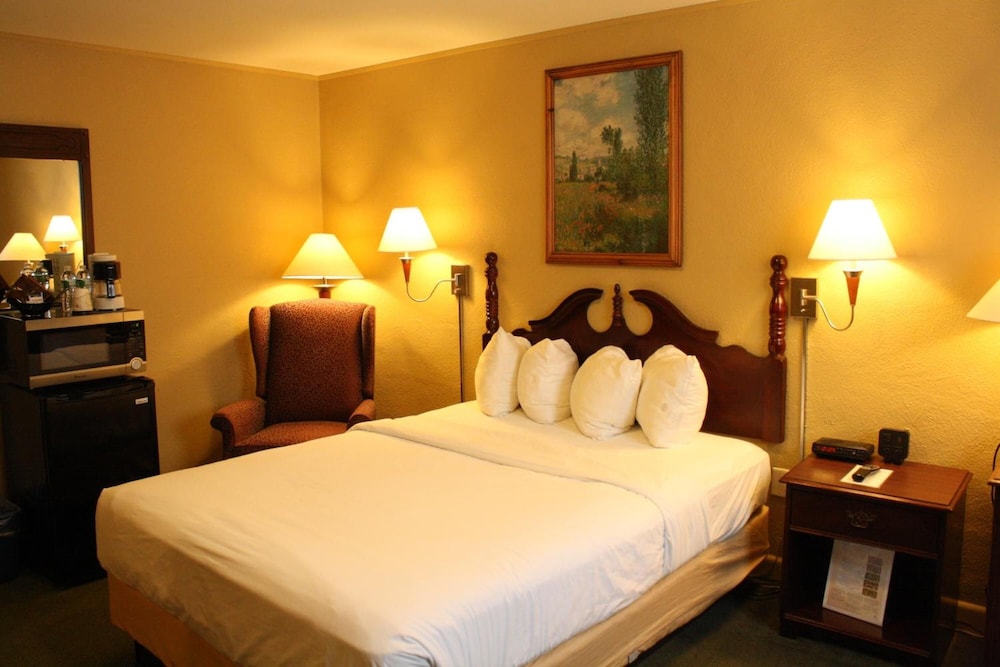 Senator Inn & Spa - photo 14