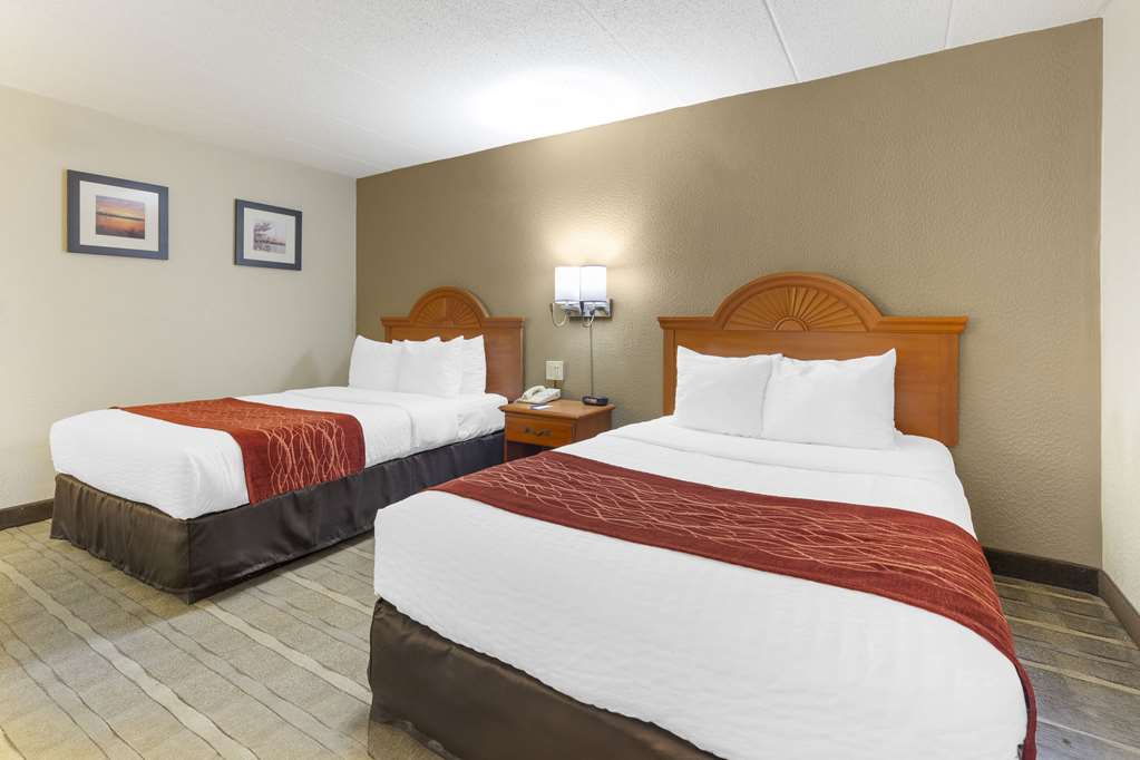 Comfort Inn University Center - photo 29
