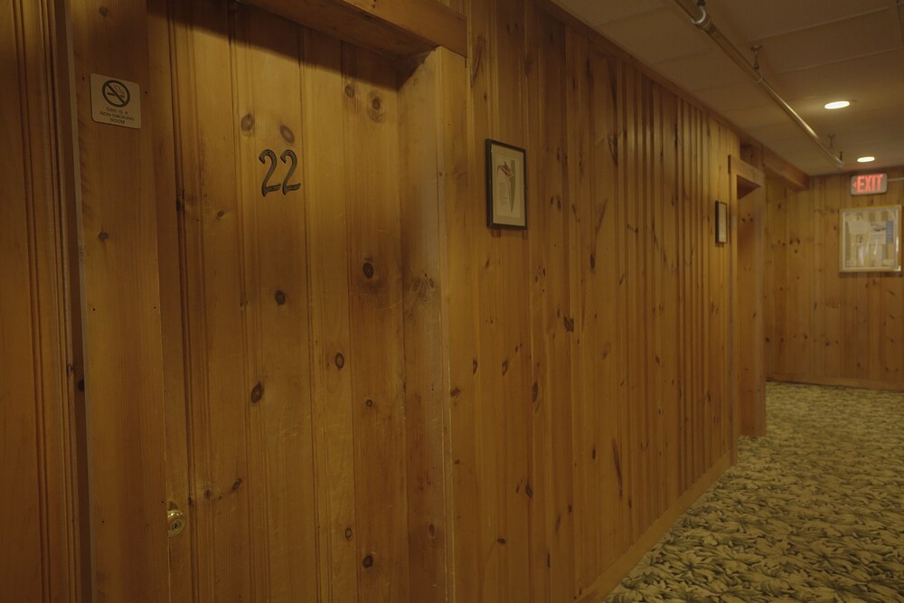 Betty Doon Hotel - photo 95