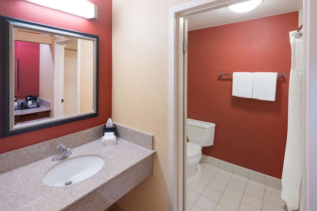 Sonesta Select Detroit Auburn Hills - photo 45