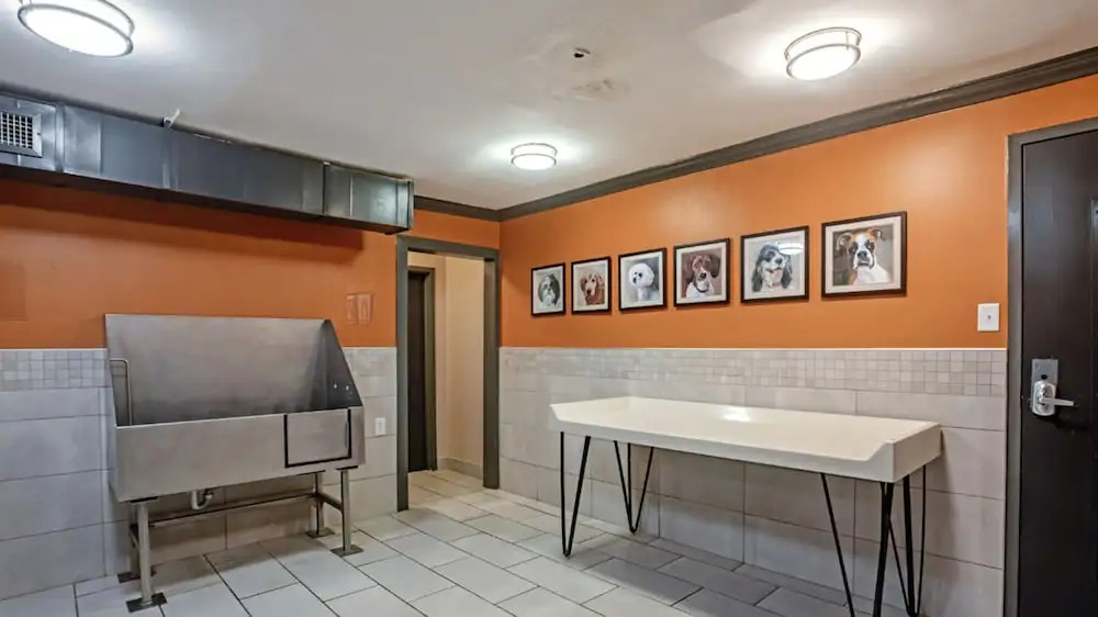 Homewood Mayfair Park Resort Condos by Barsala - photo 24