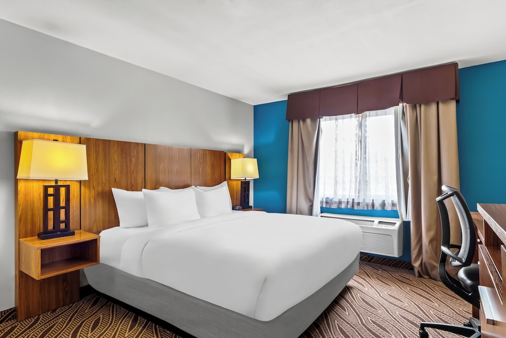 Quality Inn & Suites San Antonio Airport Stone Oak - photo 15