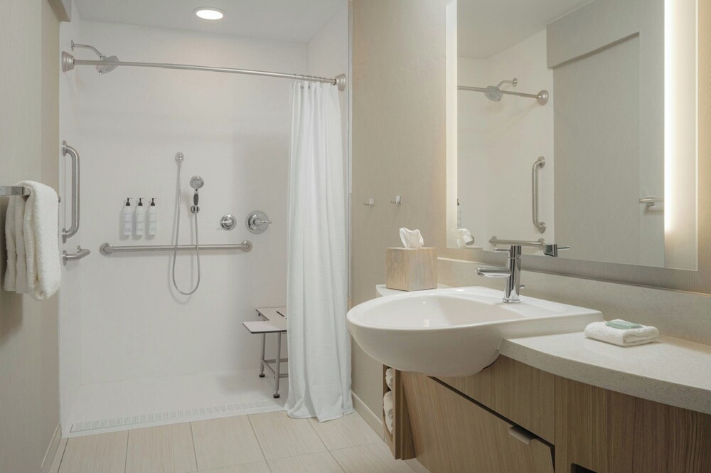 SpringHill Suites by Marriott Tampa Downtown - photo 25