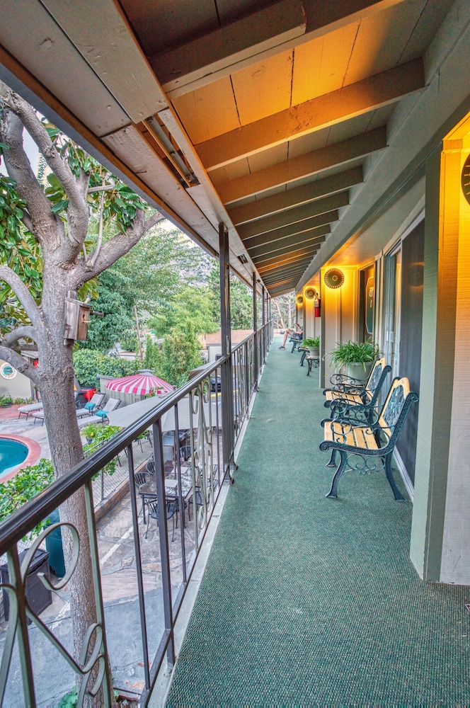 Piazza's Pine Cone Inn - photo 9