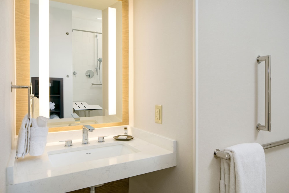 Sheraton Detroit Metro Airport - photo 20