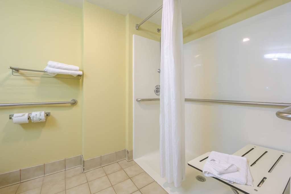 Econo Lodge Inn & Suites Triadelphia Wheeling - photo 10