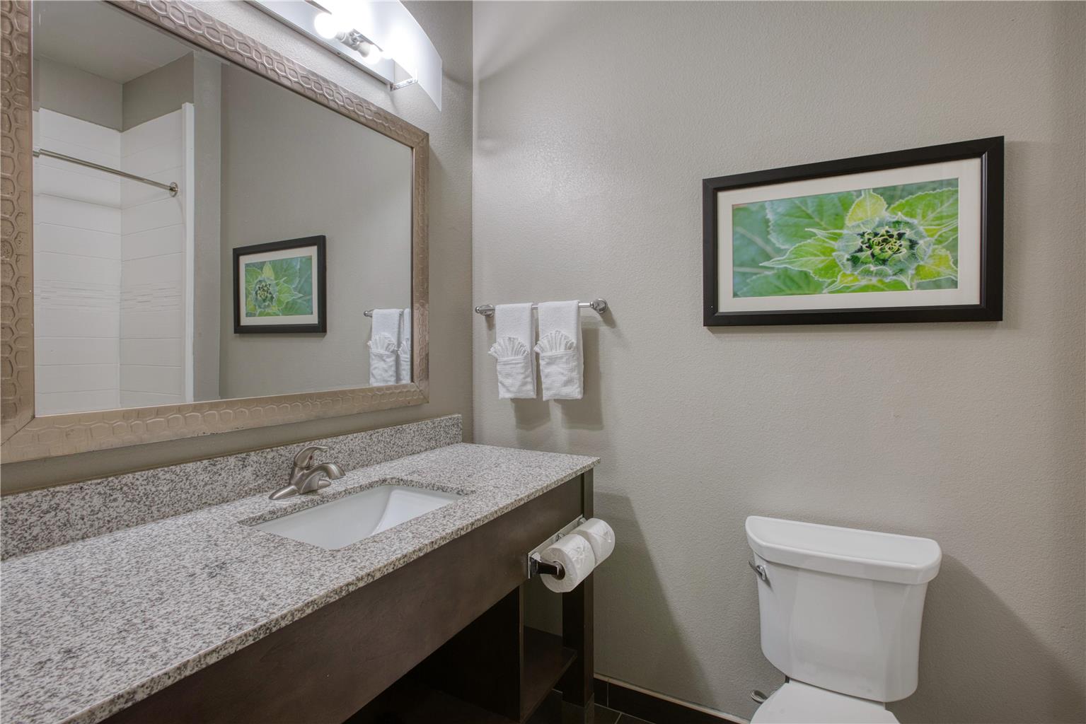 Best Western Plus Tech Medical Center Inn - photo 44