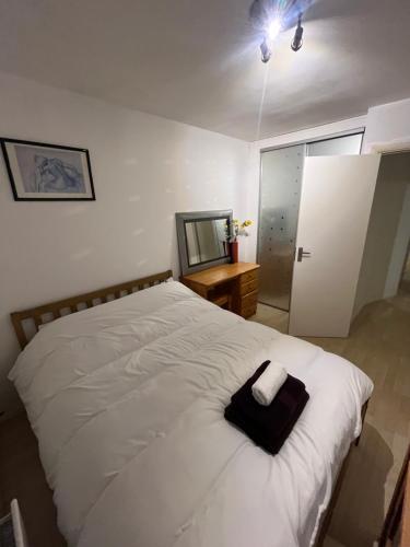 Spacious Home w Parking & Garden — Worthing — photo 5