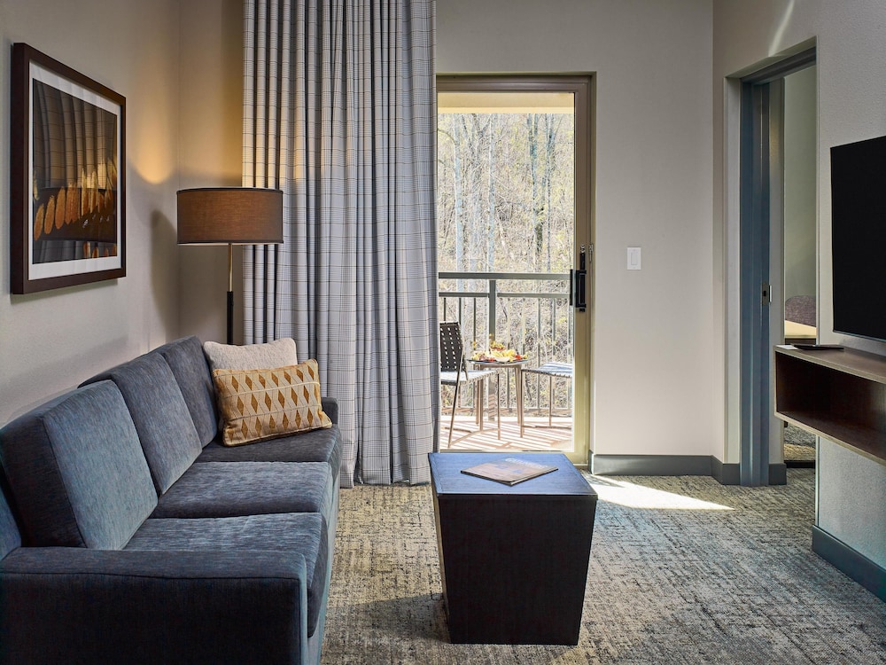 Embassy Suites by Hilton Gatlinburg Resort - photo 29