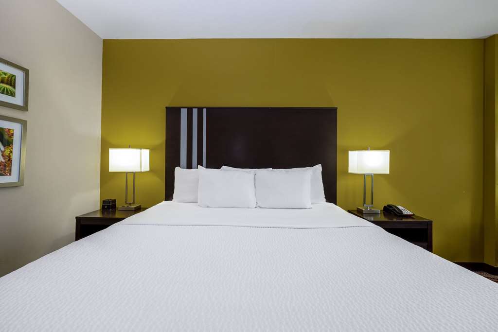 La Quinta Inn & Suites by Wyndham Artesia - photo 35